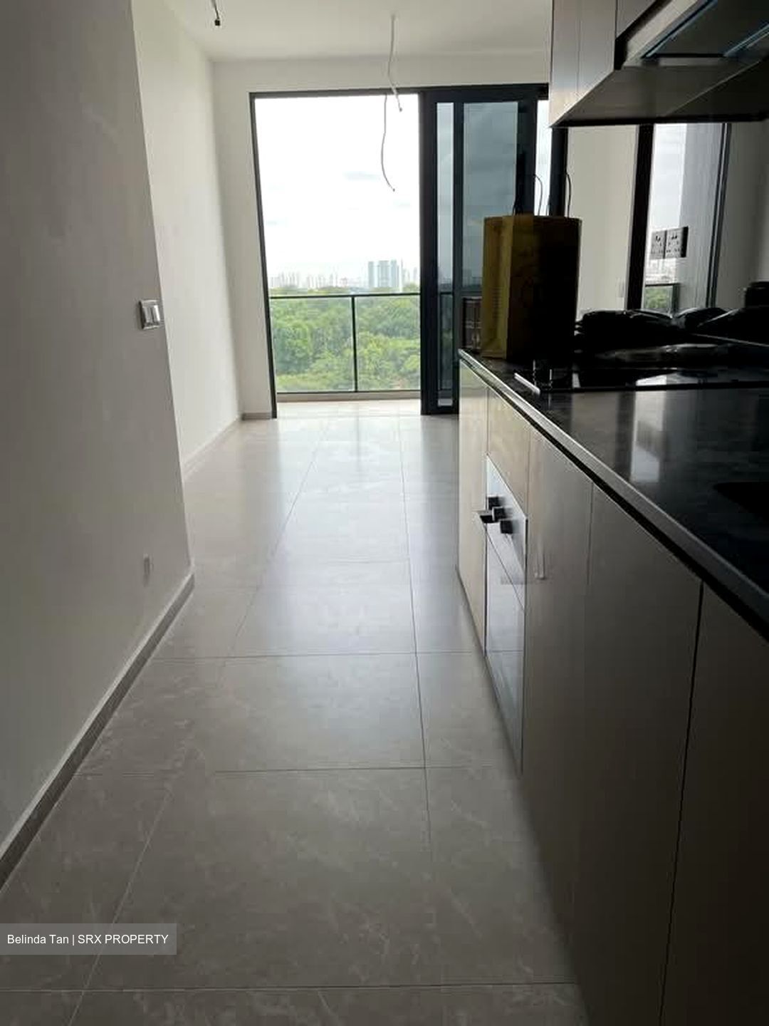 Park Colonial (D13), Condominium #578007111